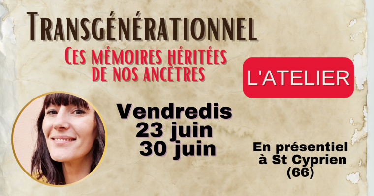 ATELIER PSYCHOGÉNÉALOGIE & TRANSGÉNÉRATIONEL