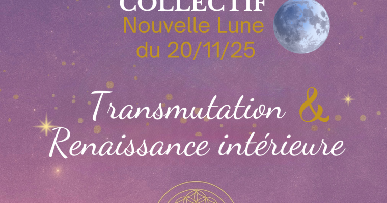 La nouvelle Lune approche 🌚